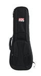 Stringed Instrument Gig Bags