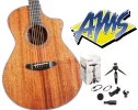 Breedlove & Shure