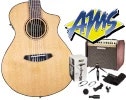 Breedlove with Fishman & Shure