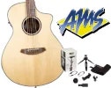 Breedlove with Shure