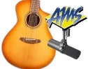 Breedlove with Shure