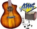 Breedlove with Fishman & Shure