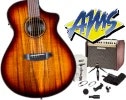 Breedlove with Fishman & Shure