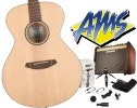 Breedlove with Fishman & Shure