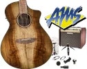 Breedlove with Fishman & Shure