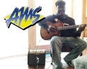 Breedlove with Fishman & Shure
