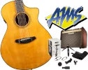 Breedlove with Fishman & Shure
