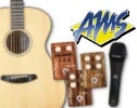 Breedlove with Telefunken & LR Baggs
