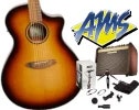Breedlove with Fishman & Shure
