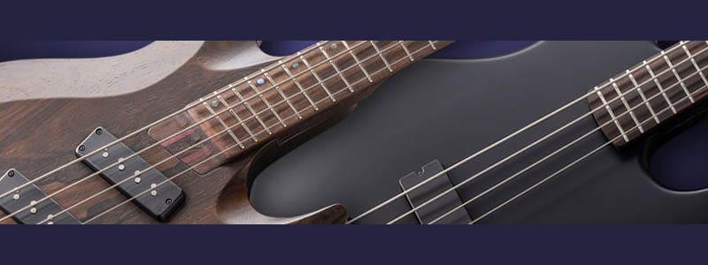 ESP Bass Guitars