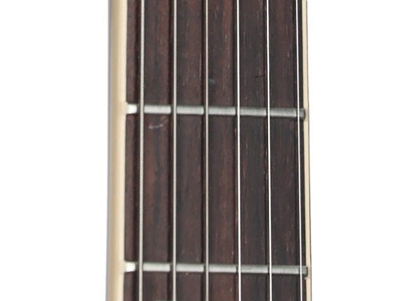Gibson Les Paul Standard 50's 50s Neck