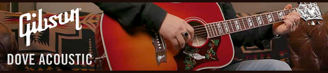 Gibson Dove Acoustic Guitars