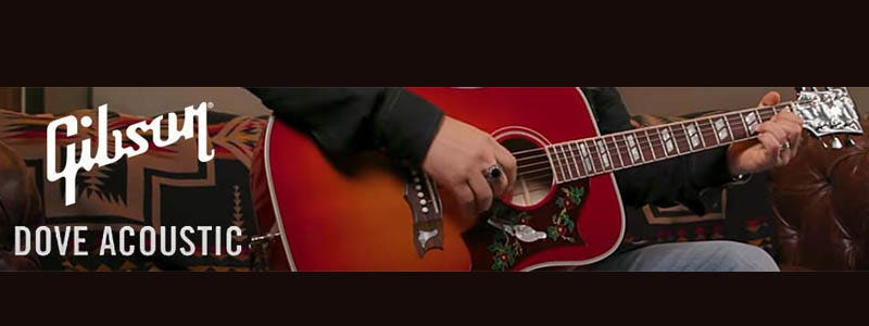 Gibson Dove Acoustic Guitars
