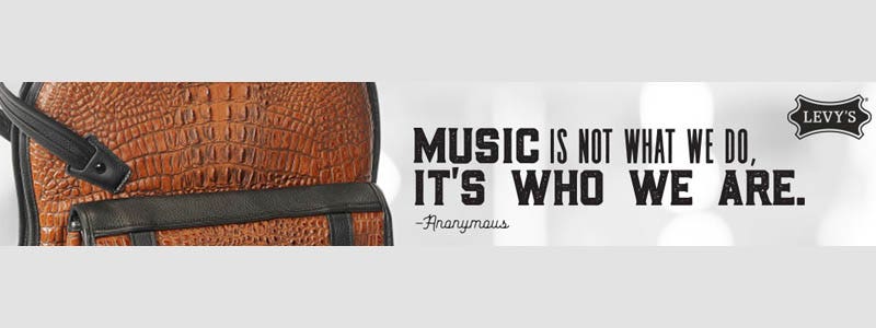 Levy's Gig Bags