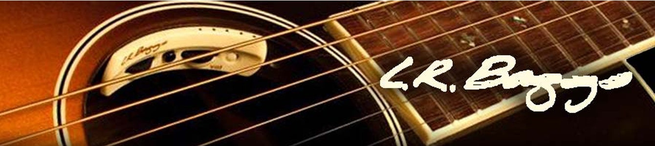LR Baggs Pickups & Amplifiers