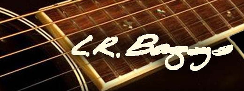 LR Baggs Pickups & Amplifiers