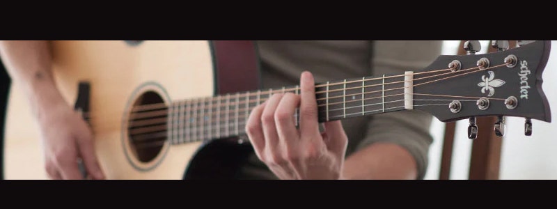 Schecter Acoustic Guitars