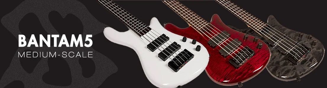 Spector - Bantam5 Medium-Scale