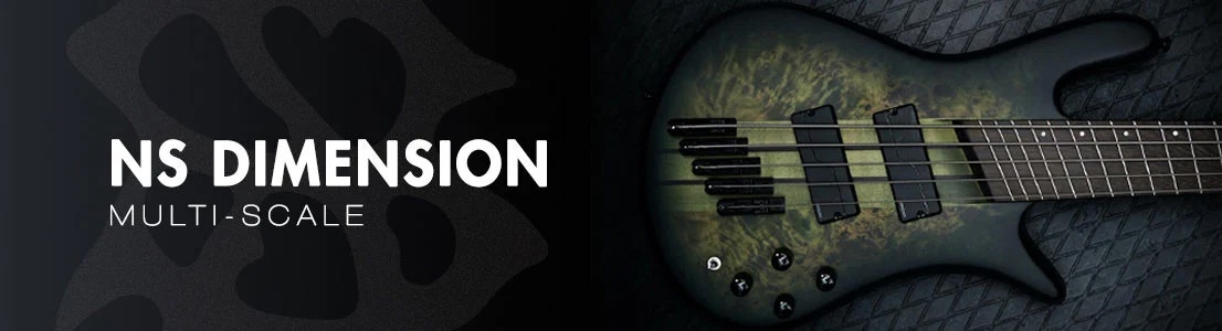 Spector - NS Dimension Multi-Scale