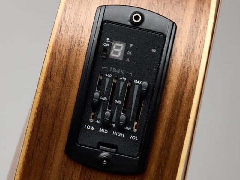 Taylor GS Mini-e ES-B Electronics