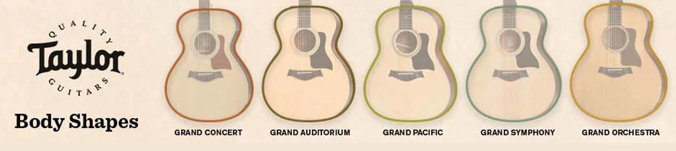 Taylor Body Shape Guitars