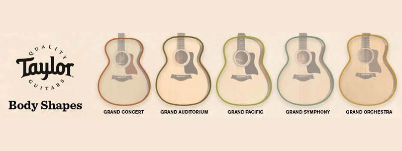 Taylor Body Shape Guitars