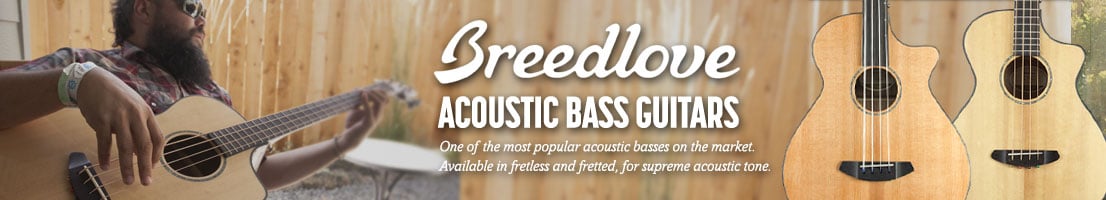 Acoustic Bass Guitars