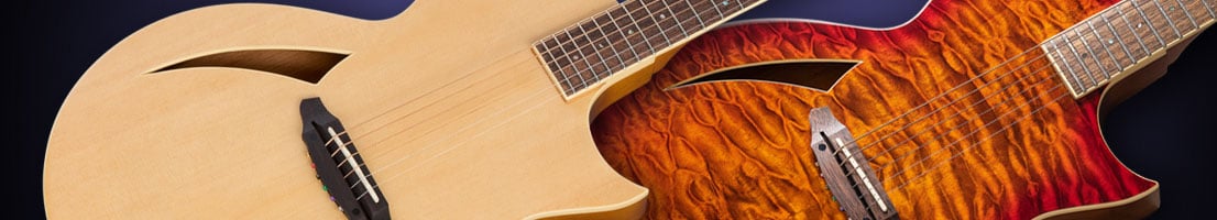 ESP Acoustic Guitars